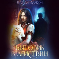 . Бытовик в действии