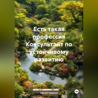 Сергей Чувашов. Есть такая профессия Консультант по устойчивому развитию