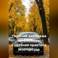 Алексей Владимирович Лезин. Падение дерева на автомобиль. Судебная практика Мосгорсуда
