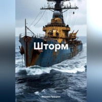 Михаил Пруцких. Шторм