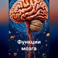 Игорь Михайлович Запорощенко. Функции мозга