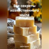 Сергей Чувашов. Все секреты хозяйственного мыла