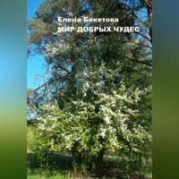 Елена Юрьевна Бекетова. Мир добрых чудес