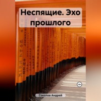 Андрей Николаевич Соколов. Неспящие. Эхо прошлого