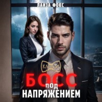 Лайза Фокс. Босс под напряжением