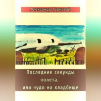 . Последние секунды полета, или чудо на кладбище
