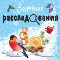 Татьяна Устинова. Зимние расследования