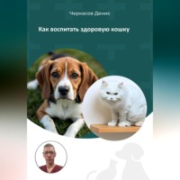 Денис Черкасов. Как воспитать здоровую кошку