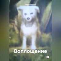 . Воплощение
