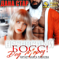 Дана Стар. Несносный босс Дед Мороз