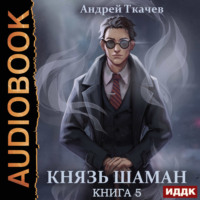 . Князь шаман. Книга 5