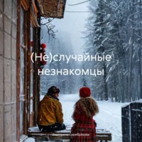 Екатерина Серебрякова. (Не)случайные незнакомцы