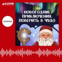 Анастасия Лютикова. Новогодние приключения. Поверить в чудо