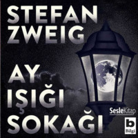 Стефан Цвейг. Ay Işığı Sokağı