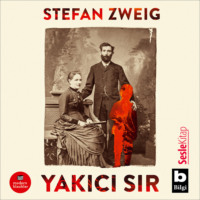 Стефан Цвейг. Yakıcı Sır