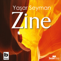 . Zine