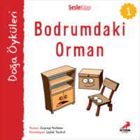 Zeynep Yeşilmen. Kır Öyküleri – Bodrumdaki orman