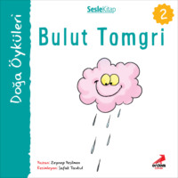 Zeynep Yeşilmen. Kır Öyküleri – Bulut tomgri