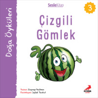. Kır Öyküleri – Çizgili gömlek