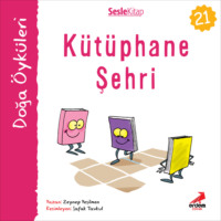 Zeynep Yeşilmen. Kır Öyküleri – Kütüphane şehri