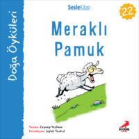 Zeynep Yeşilmen. Kır Öyküleri – Meraklı pamuk