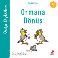 Zeynep Yeşilmen. Kır Öyküleri – Ormana dönüş