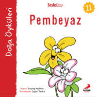 . Kır ?yk?leri – Pembeyaz