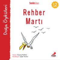 Zeynep Yeşilmen. Kır Öyküleri – Rehber martı