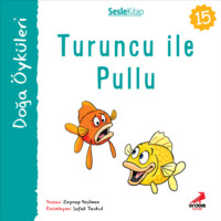 . Kır Öyküleri – Turuncu ile pullu