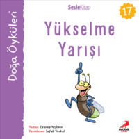 . Kır Öyküleri – Yükselme yarışı
