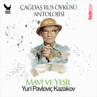 . Çağdaş Rus Öyküleri Antolojisi 13 – Mavi ve Yeşil