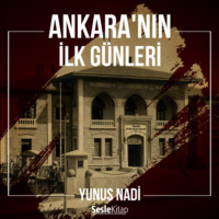 Yunus Nadi. Ankara'nın İlk Günleri