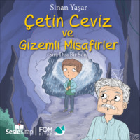 . Çetin Ceviz 5 – Çetin Ceviz ve Gizemli Misafirler – Sıra Dışı Bir Son