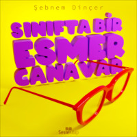 . Sınıfta Bir Esmer Canavar