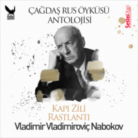 Владимир Набоков. Çağdaş Rus Öyküleri Antolojisi 10 – Kapı Zili, Rastlantı