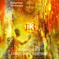 Владимир Валерьевич Полежаев. 113 – Инструкция на пути к истинному благополучию и просветлению