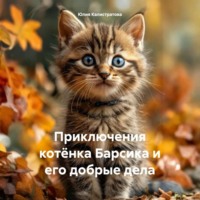 Юлия Витальевна Калистратова. Приключения котёнка Барсика и его добрые дела