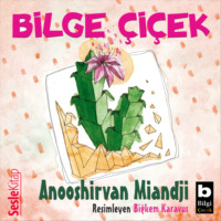 . Bilge Ciçek