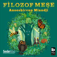 . Filozof Mese
