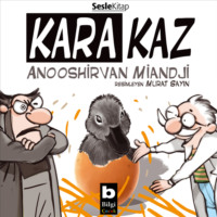 . Kara Kaz