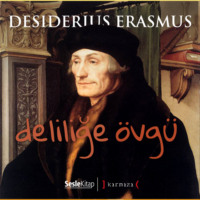 . Deliliğe Övgü