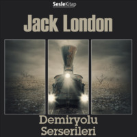 Джордж Оруэлл. Demiryolu Serserileri