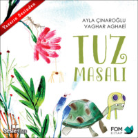 Ayla Çınaroğlu. Tuz Masalı