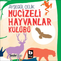 Ayşegül Çelik. Mucizeli Hayvanlar Kulübü