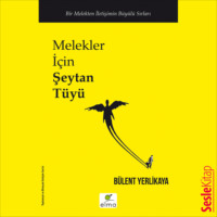 Bülent Yerlikaya. Melekler İçin Şeytan Tüyü