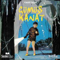 . Gümüş Kanat