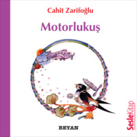 . Motorlukuş