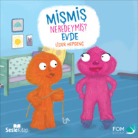 . Mişmiş Neredeymiş Evde