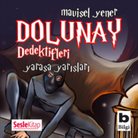 Mavisel Yener. Dolunay Dedektifleri 6 – Yarasa Yarışları