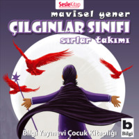 Mavisel Yener. Çılgınlar Sınıfı 4 – Sırlar Takımı